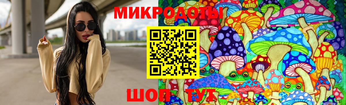Галлюциногенные грибы GOLDEN TEACHER Нерюнгри